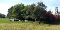 Clos Des Abeilles — producteur local en province de Liège