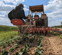 Ferme De La Chapelle — producteur local en province de Liège