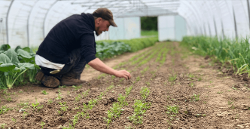La Bourrache — producteur local en province de Liège