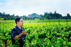 Quita Da Amoreira Da Torre — producteur local en province de Liège