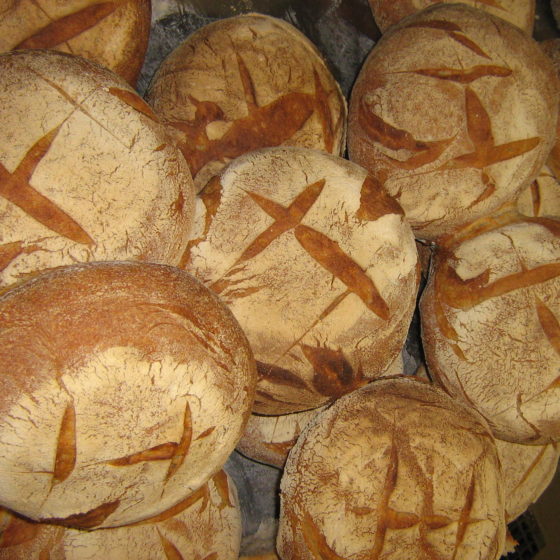 Pain levain campagne - gros 800gr