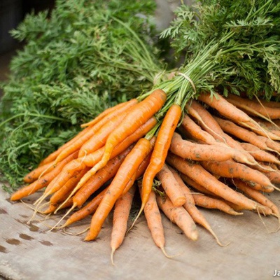 Carottes en botte