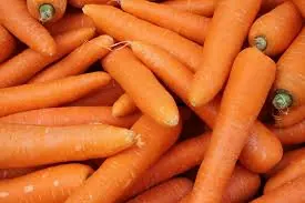 Carottes lavées (vrac)