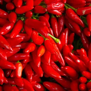 Piments rouges (Vrac)
