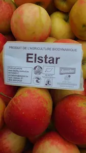 Pomme Elstar
