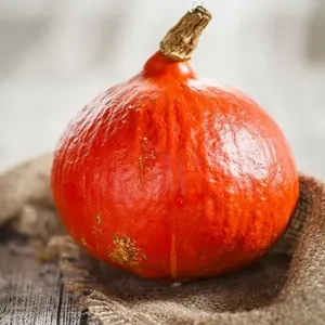 Potimarron orange (vrac)